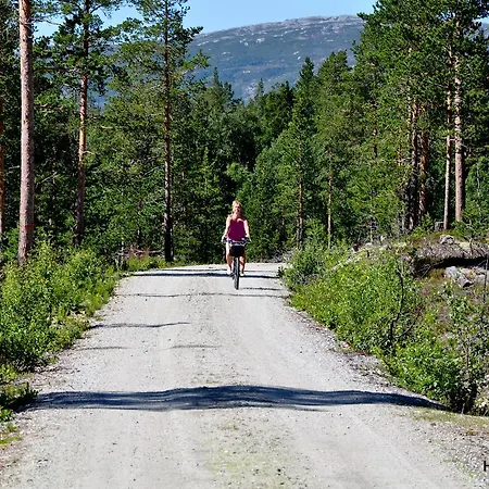 Campsite Lesjaskogsvatnet *
