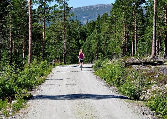 Camping Lesjaskogsvatnet *